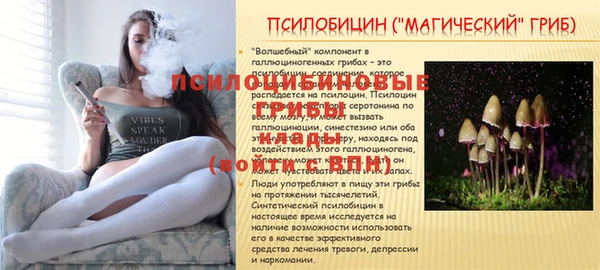 СК Баксан