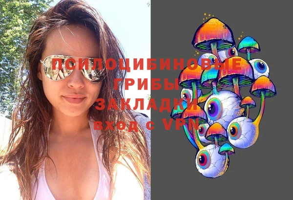 гашик Балахна