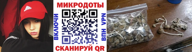 Псилоцибиновые грибы Psilocybe Болгар